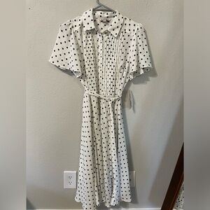 Polka Dot Midi Dress